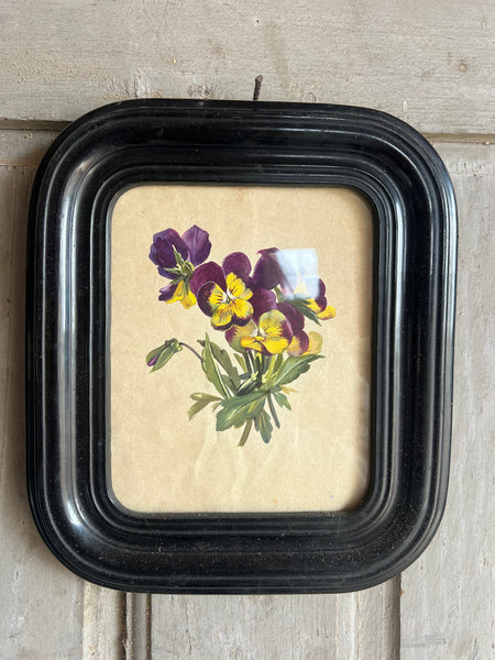 French Antique Floral Pansy Painting