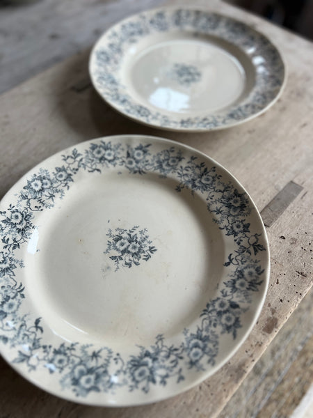 Lovely Longchamp Dishes