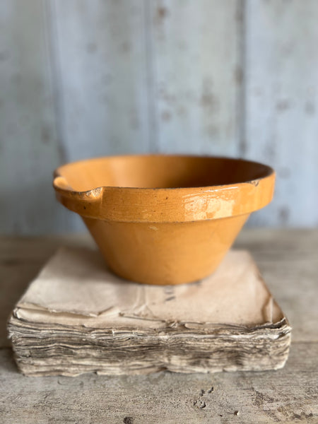 French Rustic Stoneware Bowl