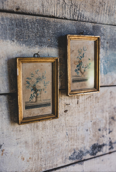 Framed Vintage French Floral Prints