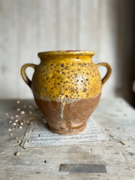 Antique French Confit Jar Small