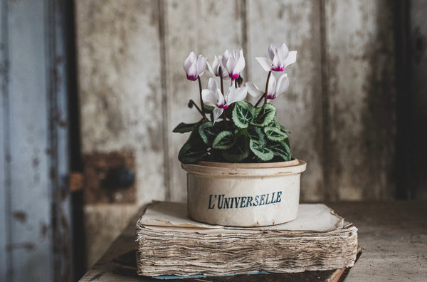 Antique Storage Pot