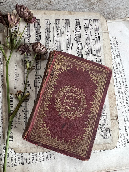 Antique Language of Flowers Book