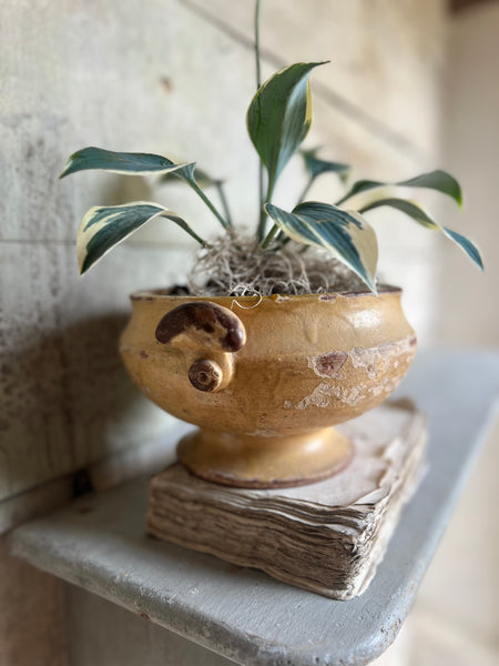 Vintage Rustic Tureen