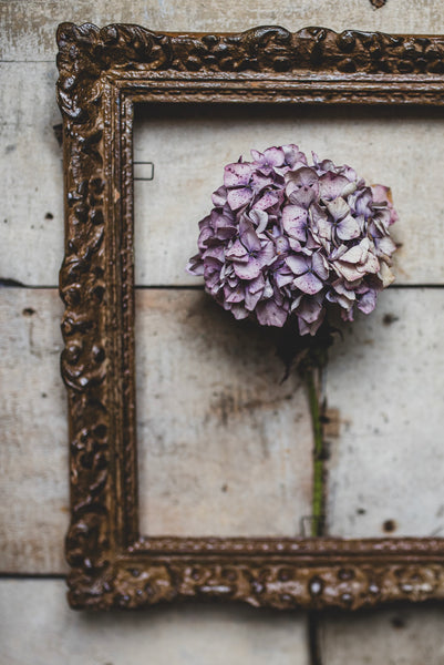 Antique Painted Monteparnasse Frame