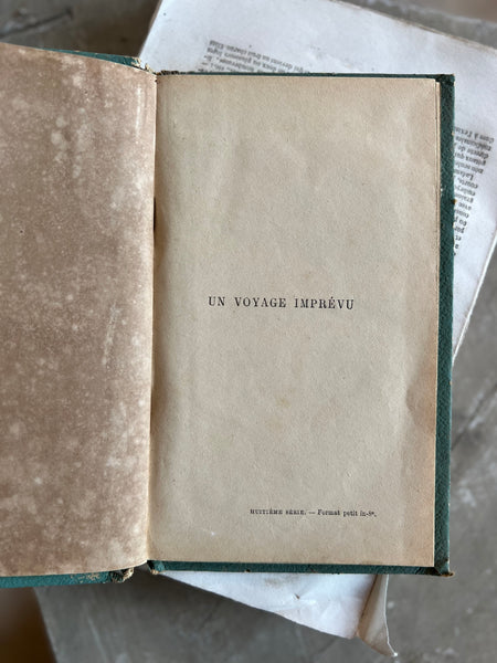 Sweet Vintage French Book 1889