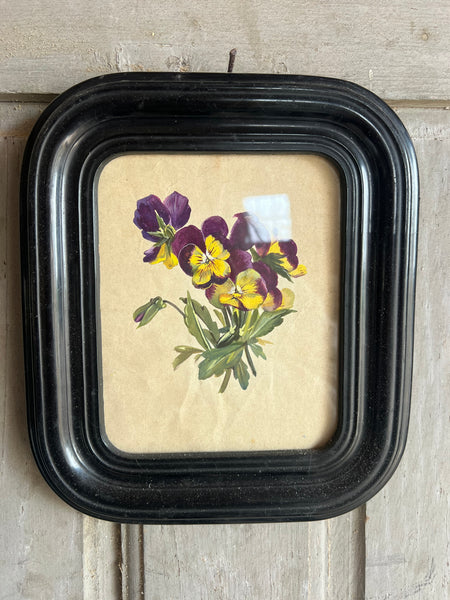 French Antique Floral Pansy Painting