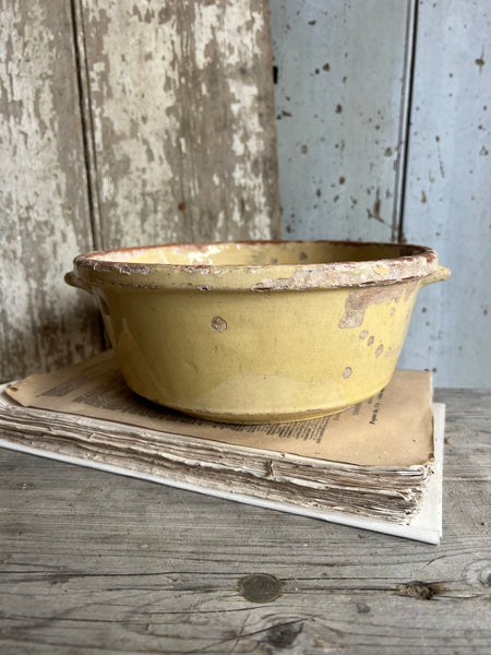 French Rustic Earthenware Bowl
