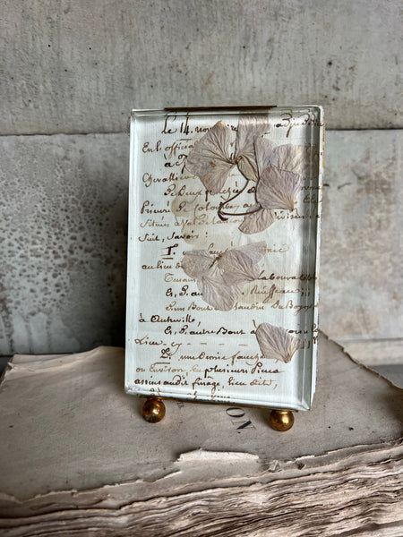 Sweet Vintage French Frame