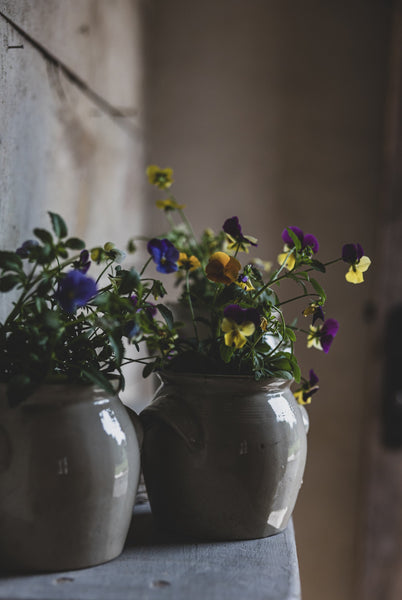 Small French Confit Jars