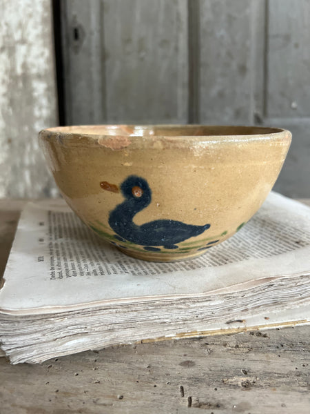 Beautiful Provençal Duck Bowl