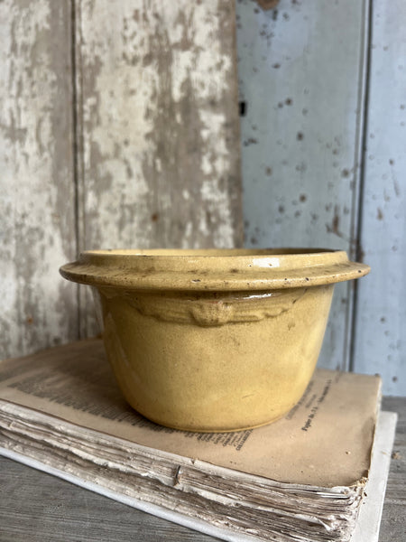 Beautiful Yellow French Bowl