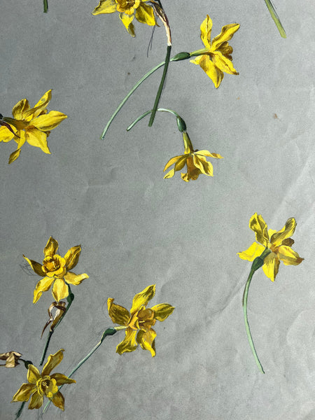Gorgeous Daffodil Vintage Painting