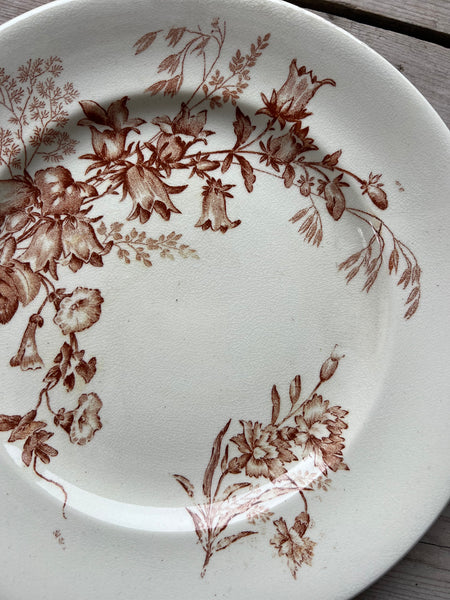 Brown Vintage Floral Plate
