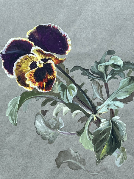 Gorgeous Pansy Vintage Painting