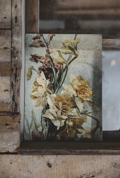 Daffodil Oil on Board
