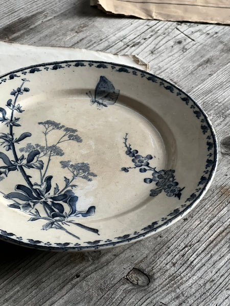 Terre De Fer Porcelain Dragonfly & Butterfly Plate