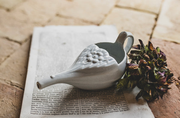 Vintage French Canard