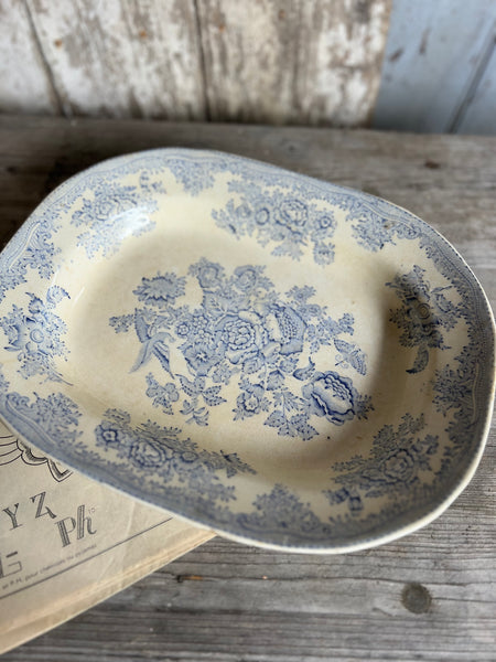 Asiatic Pheasant Dish