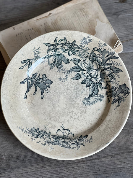 Stunning Aged Transferware Plate