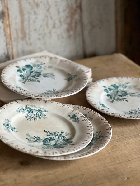 Beautiful Transfer French Plates