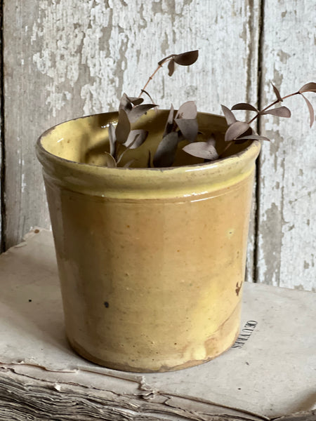 Antique Confiture Pot