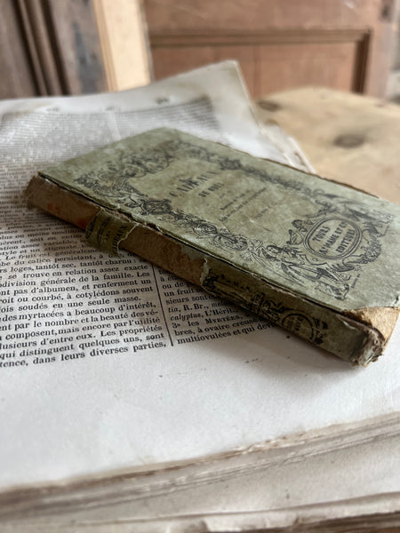 Sweet French Worn Book