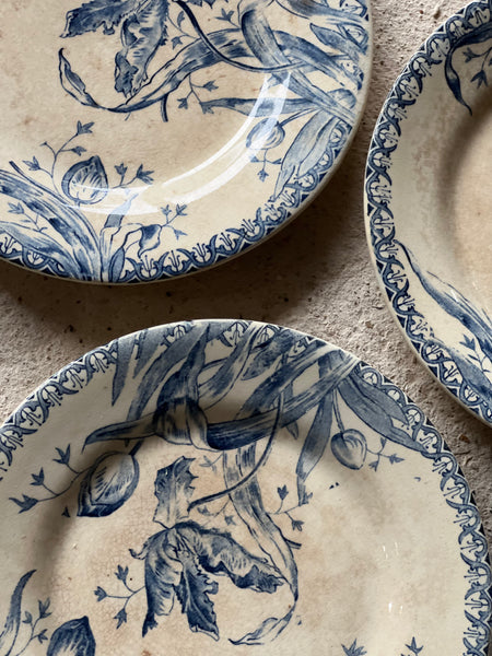 Antique French Terre De Fer Transferware Plates