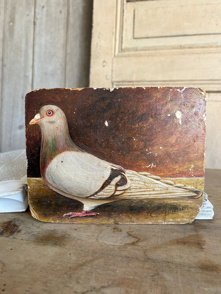 Antique French Pigeon Oil Painting