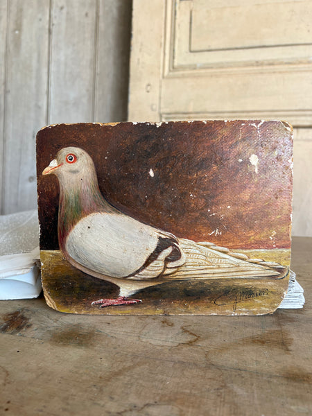 Antique French Pigeon Oil Painting