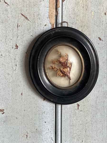 Georgian Framed Dried Flowers