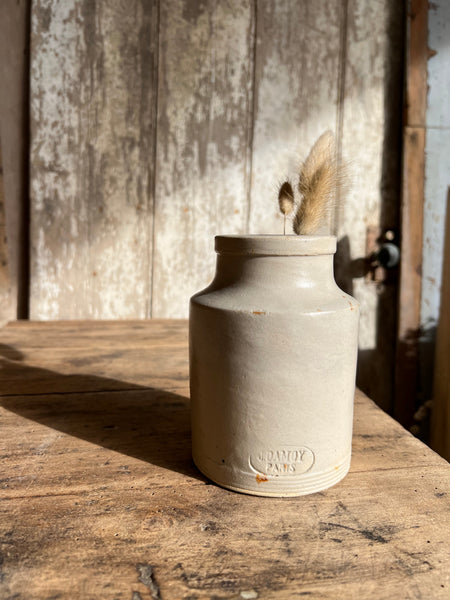 Vintage French Damoy Mustard Pot