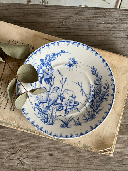 Small Vintage Cup & Saucer Set