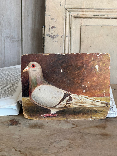 Antique French Pigeon Oil Painting