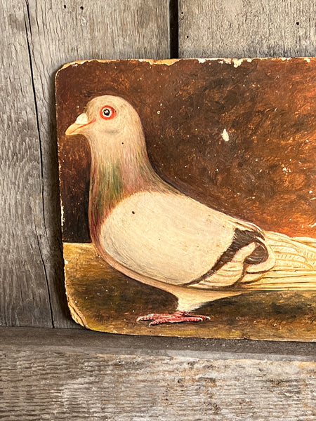 Antique French Pigeon Oil Painting