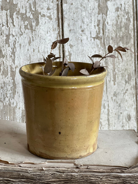 Antique Confiture Pot
