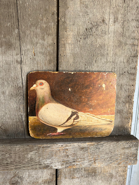 Antique French Pigeon Oil Painting