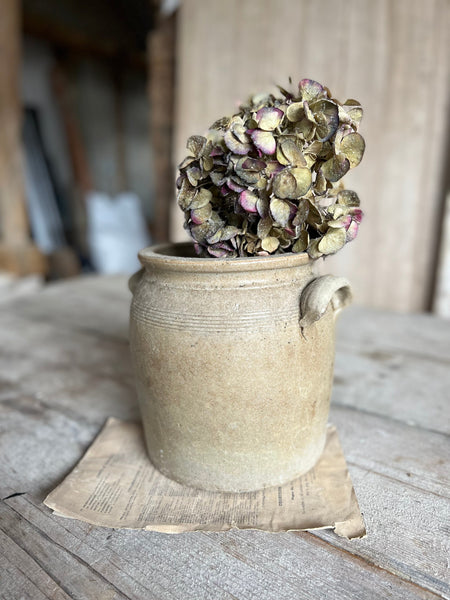 French Confit Jar Medium