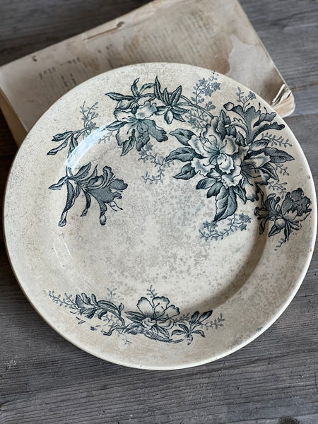 Stunning Aged Transferware Plate