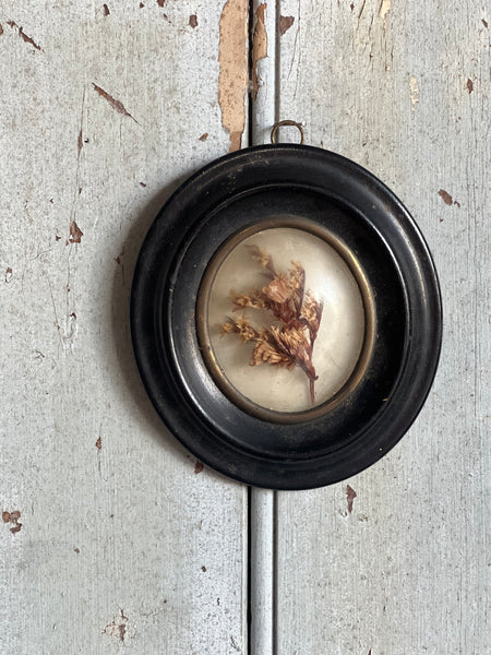 Georgian Framed Dried Flowers