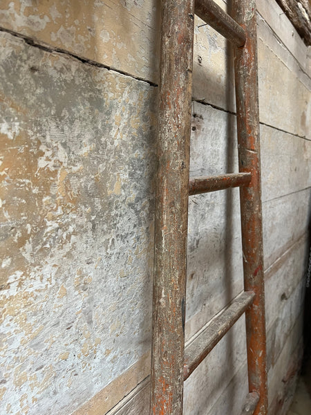 Single chippy paint fruit picking ladder