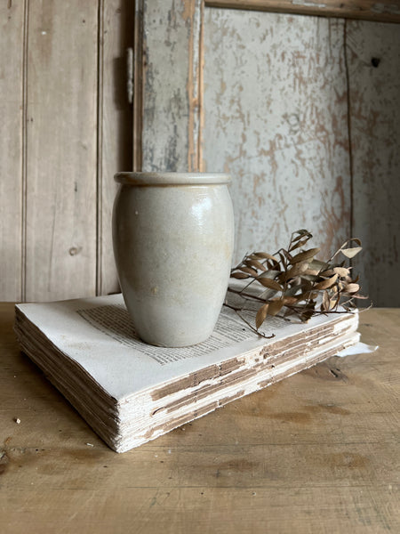 French Rillettes Pot
