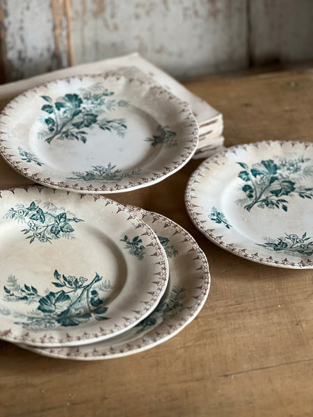 Beautiful Transfer French Plates