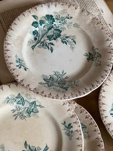 Beautiful Transfer French Plates