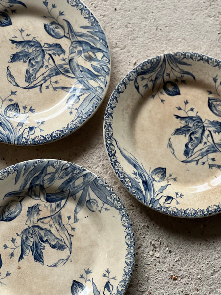 Antique French Terre De Fer Transferware Plates