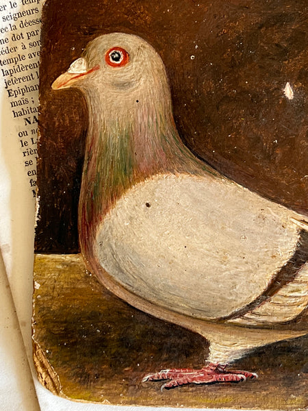 Antique French Pigeon Oil Painting