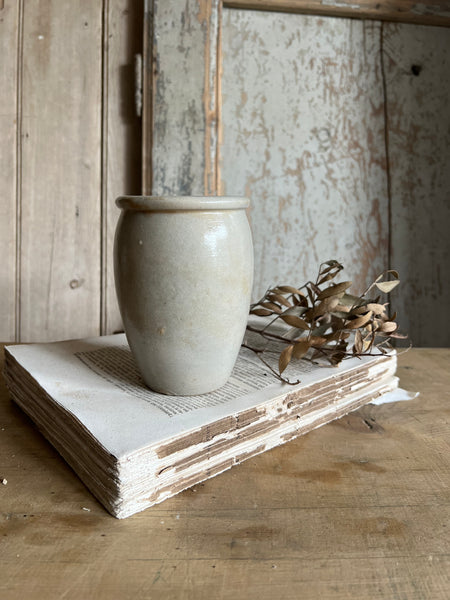 French Rillettes Pot