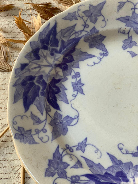 Blue Ivy Transferware Plate