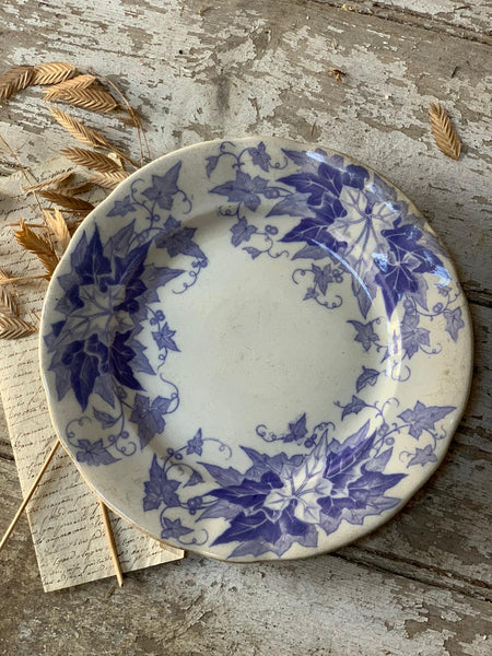 Vintage French Blue Ivy Transferware Plate