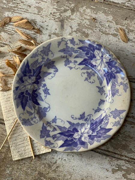 Blue Ivy Transferware Plate